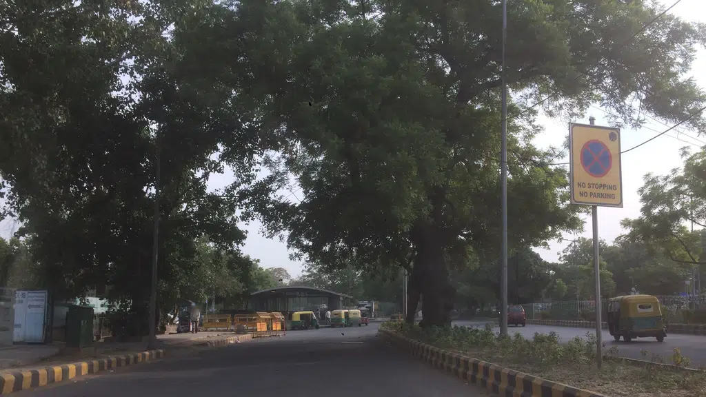 Dosa Junction