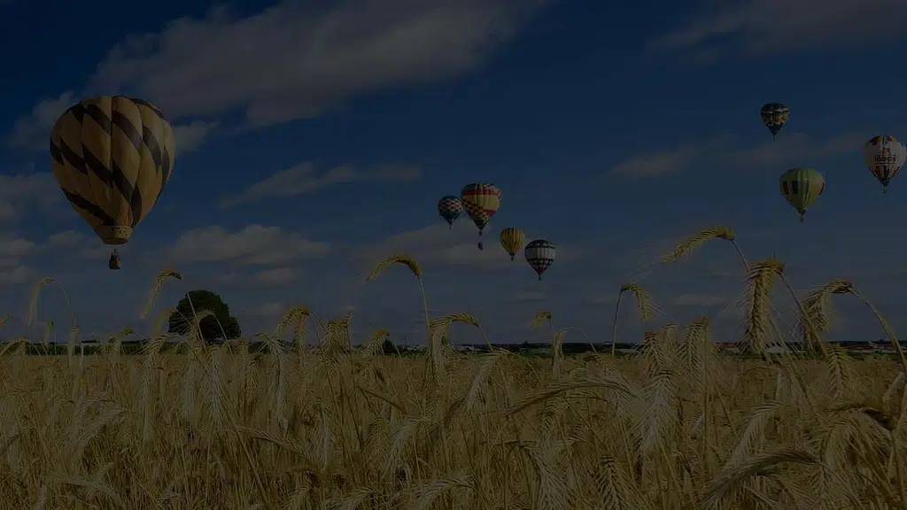 Lotus Vacations