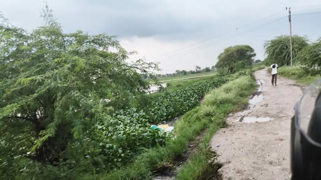 Pskanya P S Pipahadi
