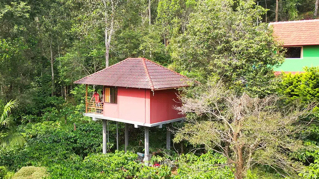 VMJ Wild Stay/Homestay in wayanad / Hutstay in wayanad