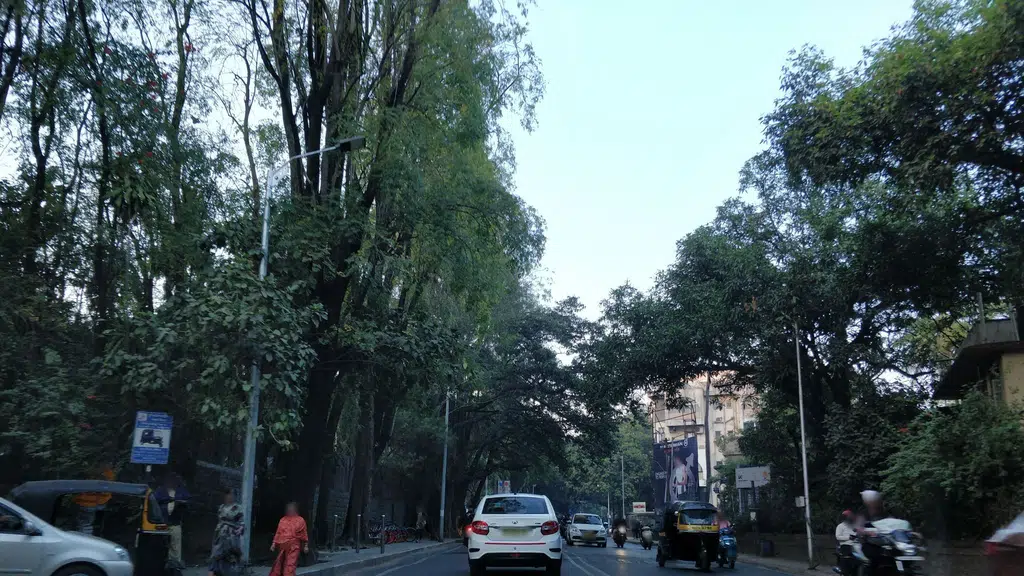 Nitrro Law College Road
