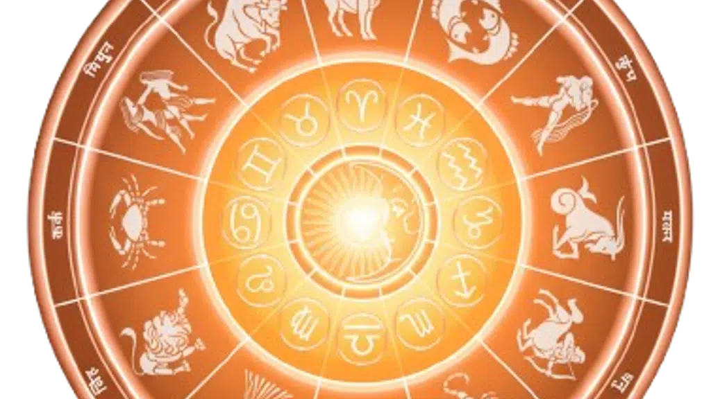 Astrologer Swami Ji