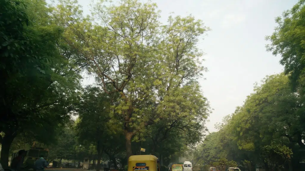 Pm Residence