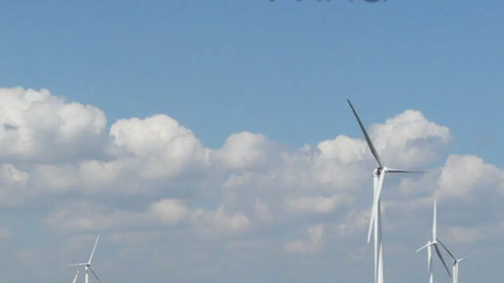 Orient Green Power Company Private Limited