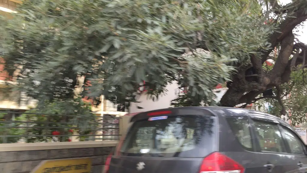 Sneha Nilaya
