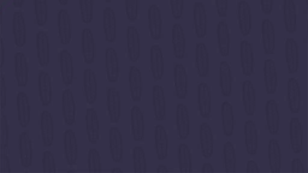 SEO India Company