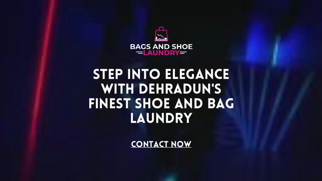 Bags And Shoe Laundry Chandigarh