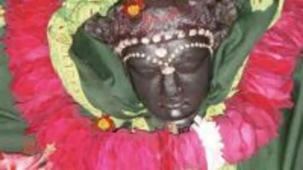 महिषी - कोसी का विश्वग्राम