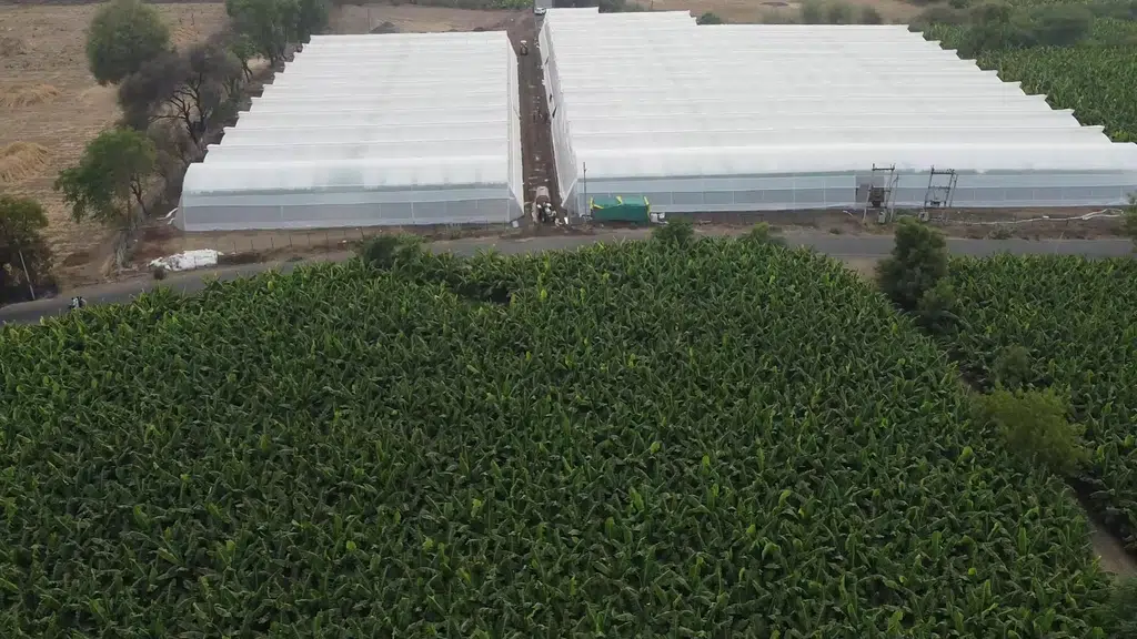 Rise Hydroponics - Future of Farming