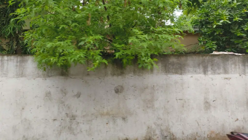 Sai Pvr Hospital