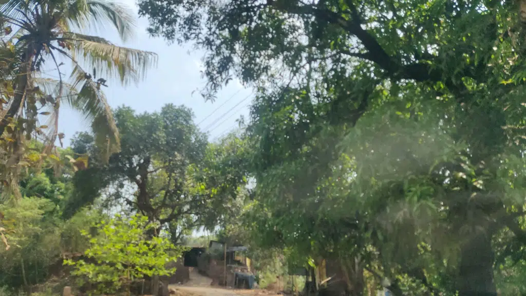 Jama Masjid Ibrahim Pattan