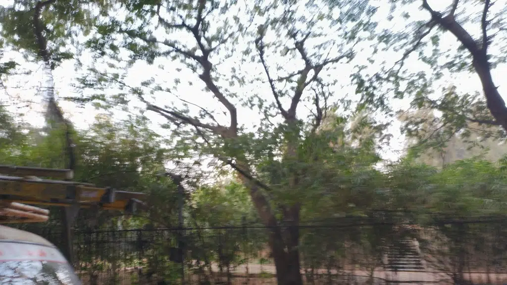 RJNR Ambedkar Nagar