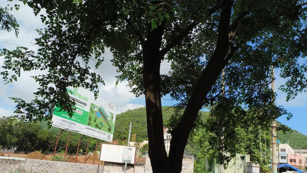 S. R. Hospital