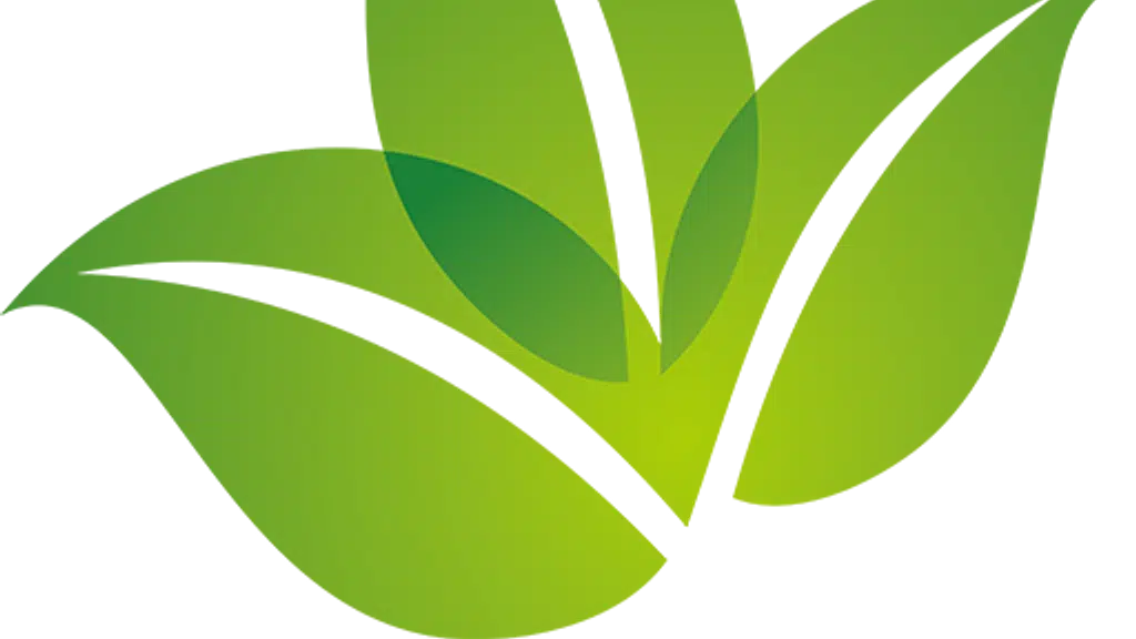 Roshani Agro Farmer Producer Co Ltd