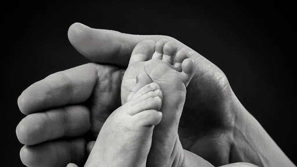 Dr. Neeraja's Fertility & Gynaec Centre
