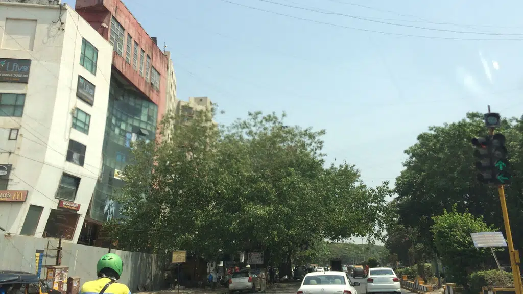 Gopal Vada Pav and Cold Drinks House
