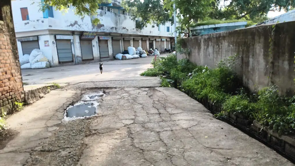 Chauhan Marriage Garden