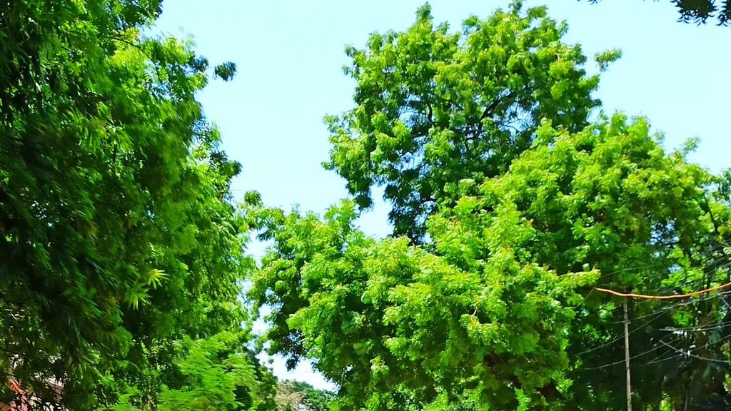 Thiru Vi Ka College of Arts and Science