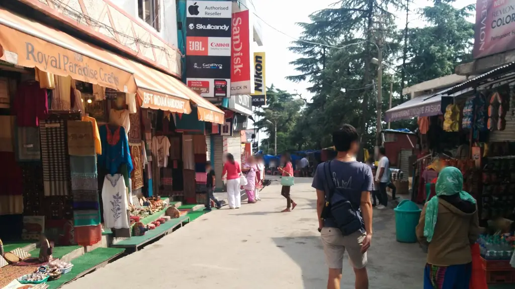 Dr. Lobsang Dolma Khangsar Memorial Clinic