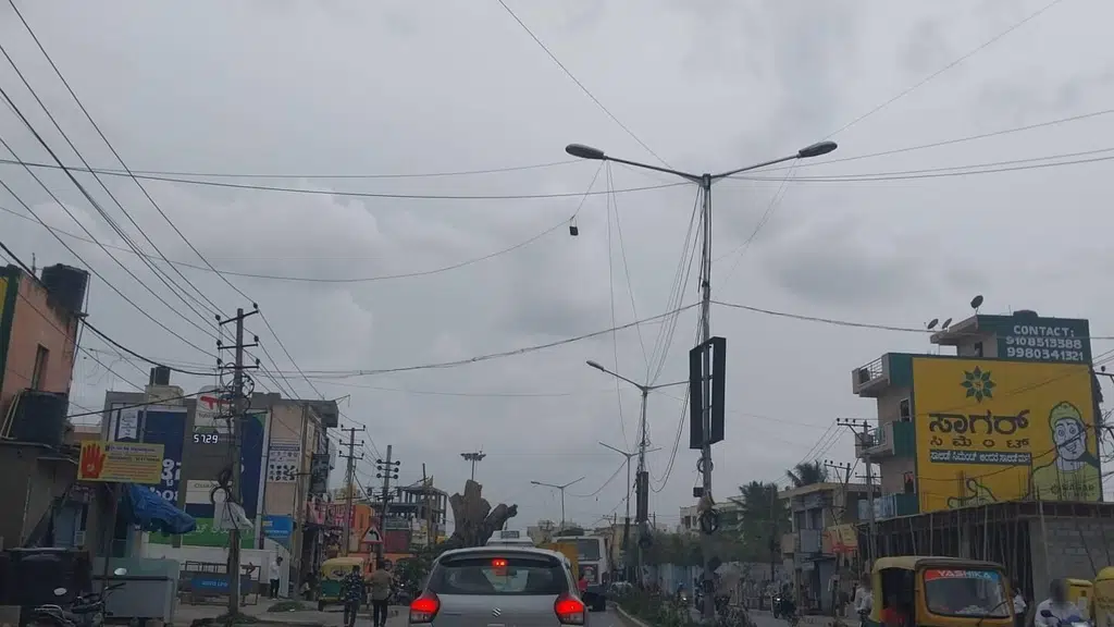 Bhartiya City Nikoo Homes