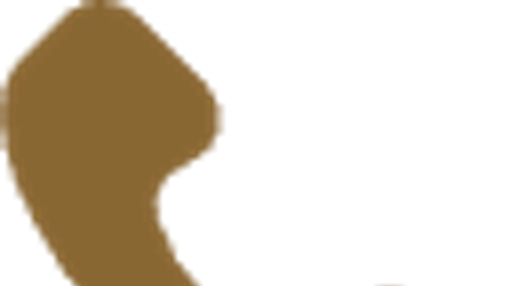 Kirtilals