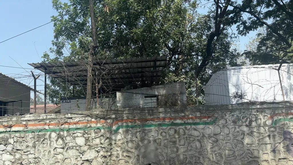 Tulsi Veg
