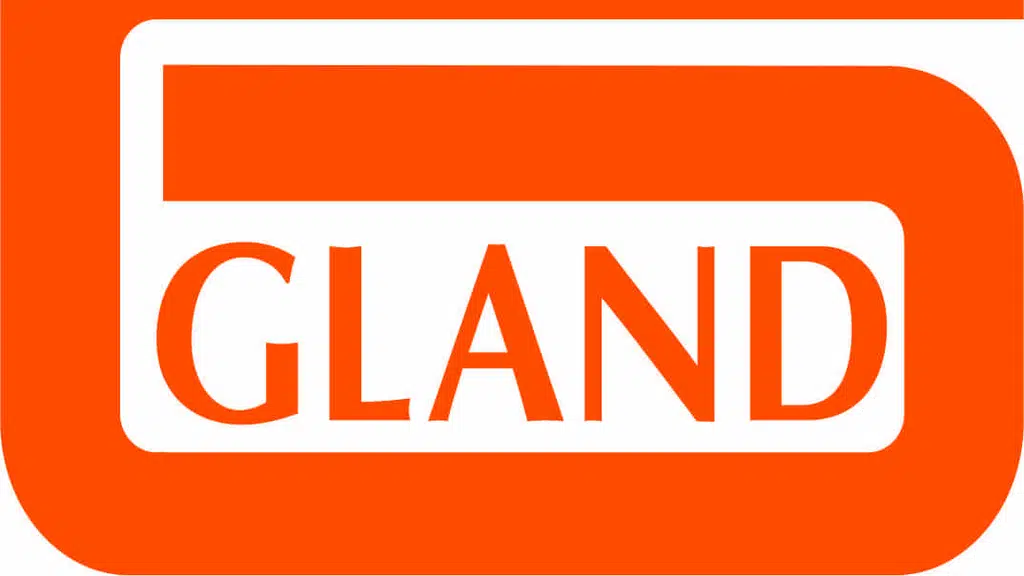 Gland Pharma Limited Penems