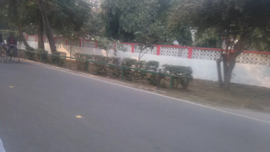 Seema Nursery