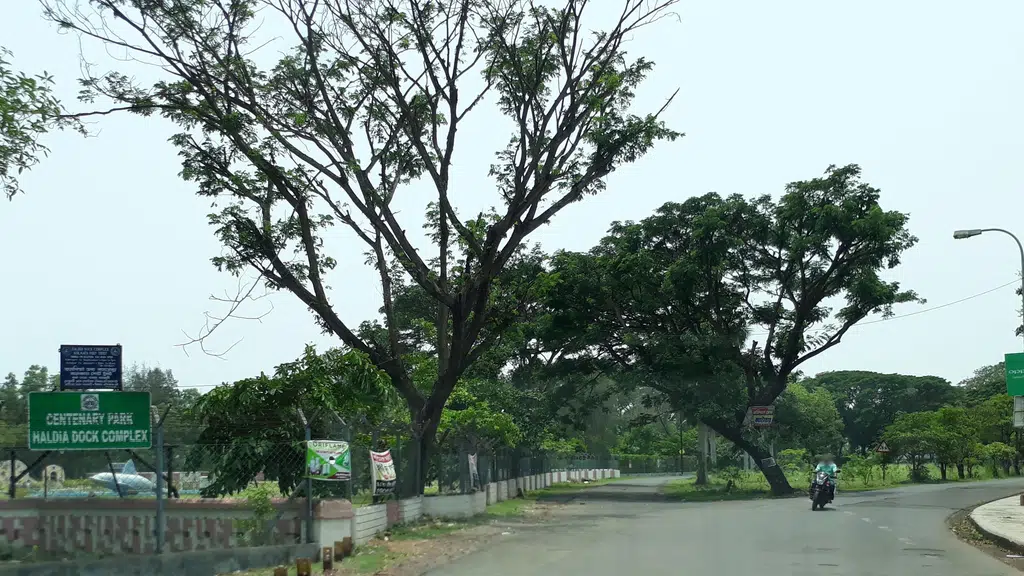 The Royal Park