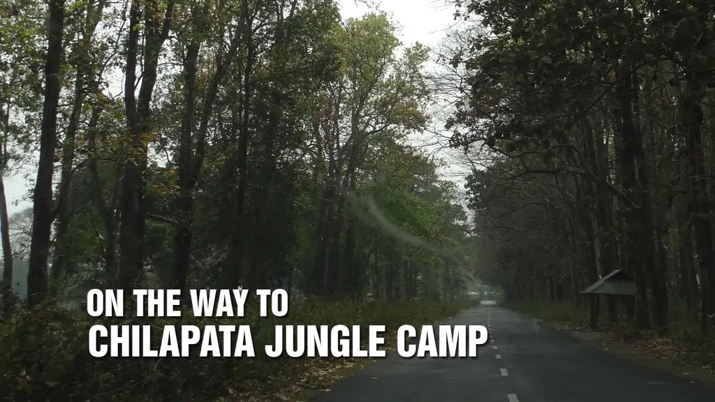 Chilapata Jungle Camp Home Stay
