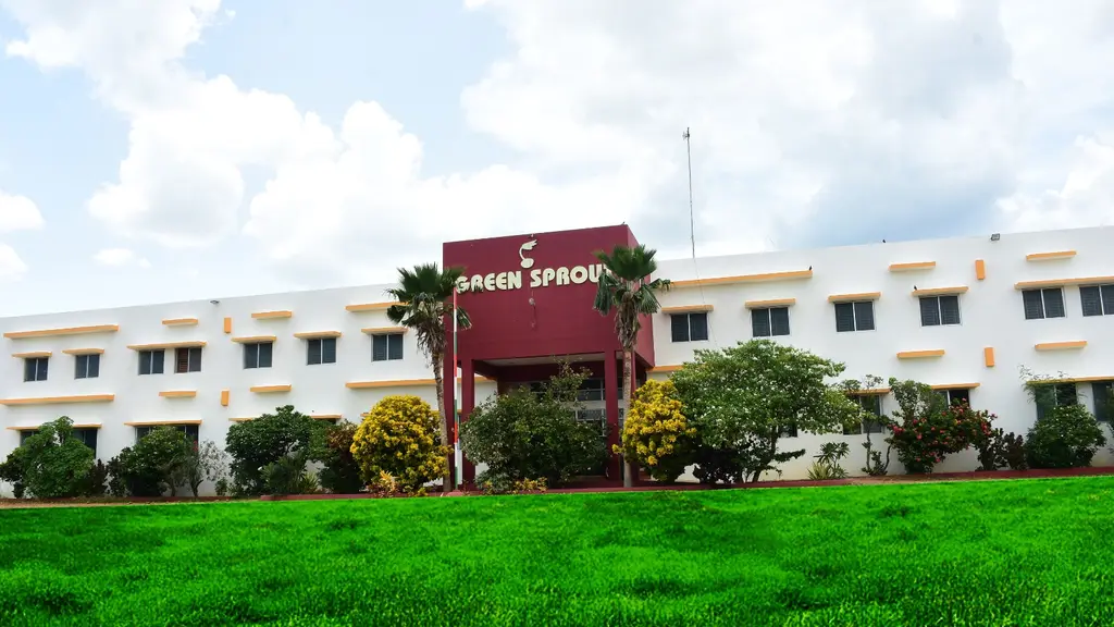 Green Sprout International School
