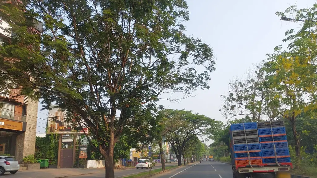 NEXA Showroom Popular Vehicles & Services Limited, Ernakulam