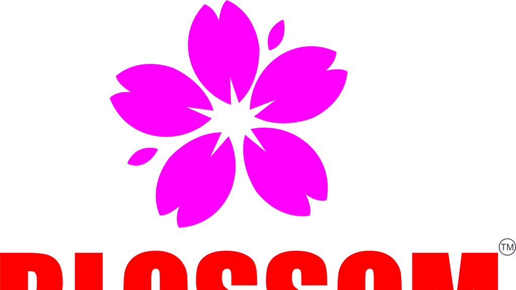 Blossom Travel Services