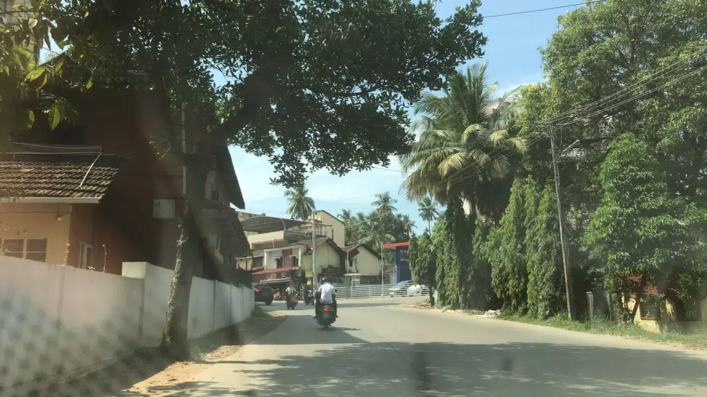 Paniyala and Associates