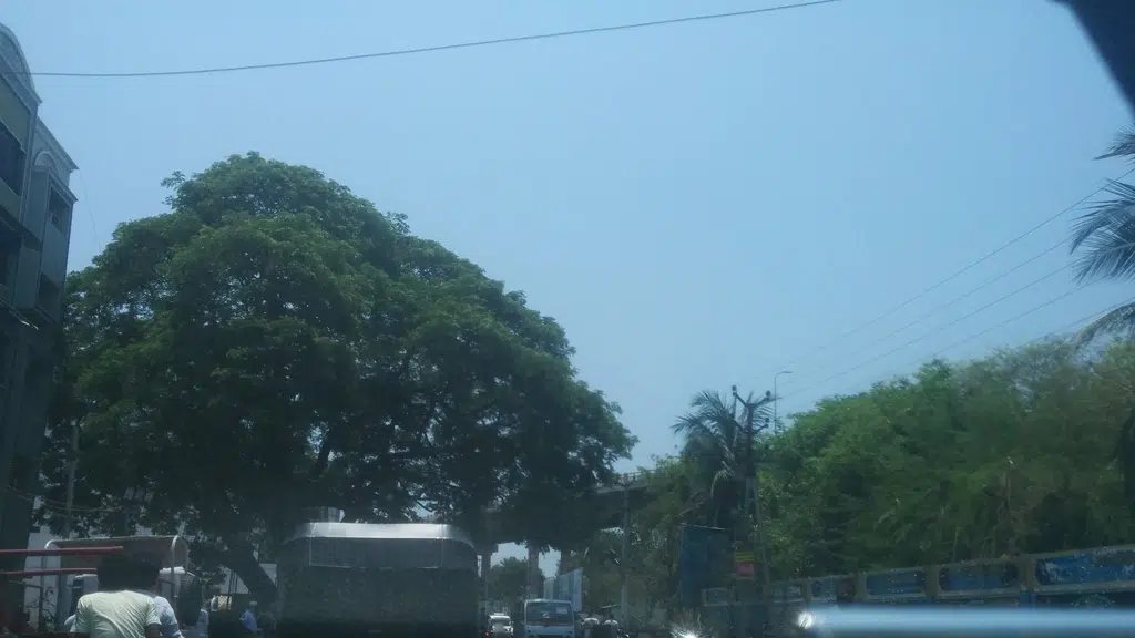 Rallabandi Subba Rao Archaeological Museum