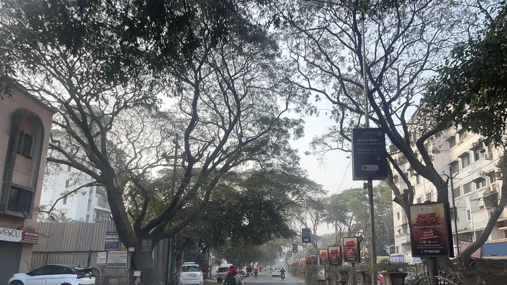 Chaha Pura Cafe