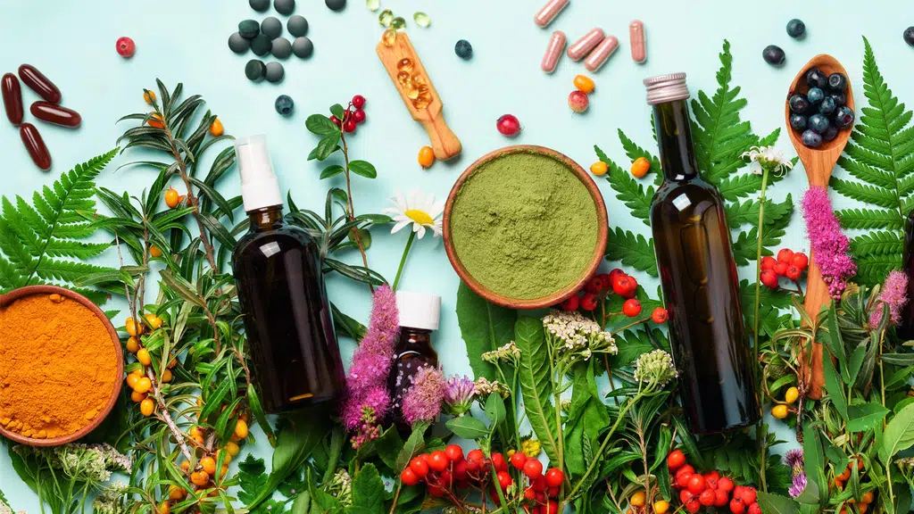 GVSK Nutraceuticals & Ayurveda