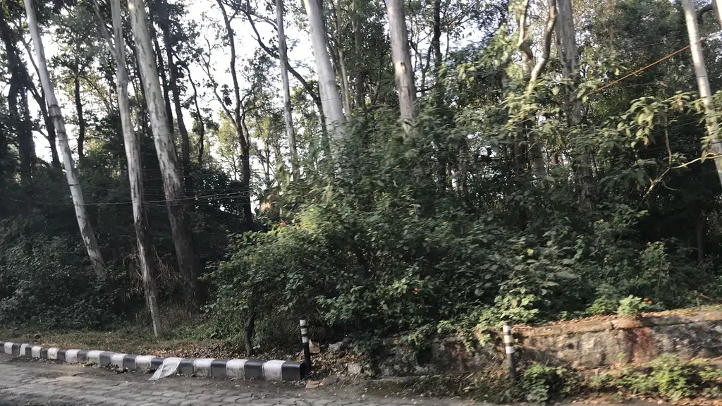 Dehradun Zoo