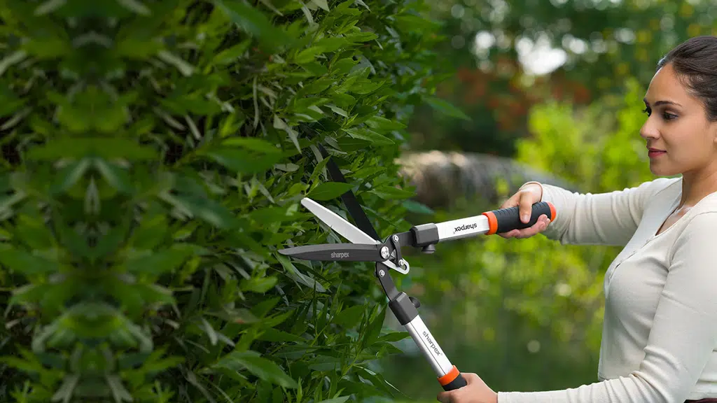 Sharpex Engineering Works- Grass Cutting Machine Lawn Mowers
