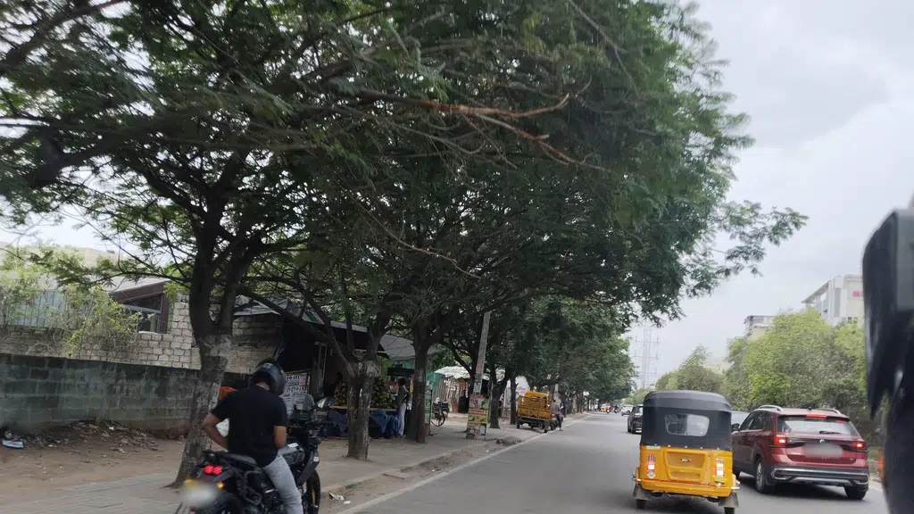 Car Club