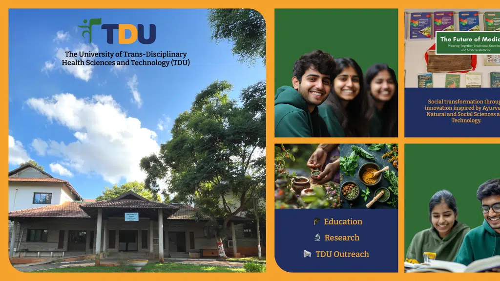 TDU Postgrad Connect