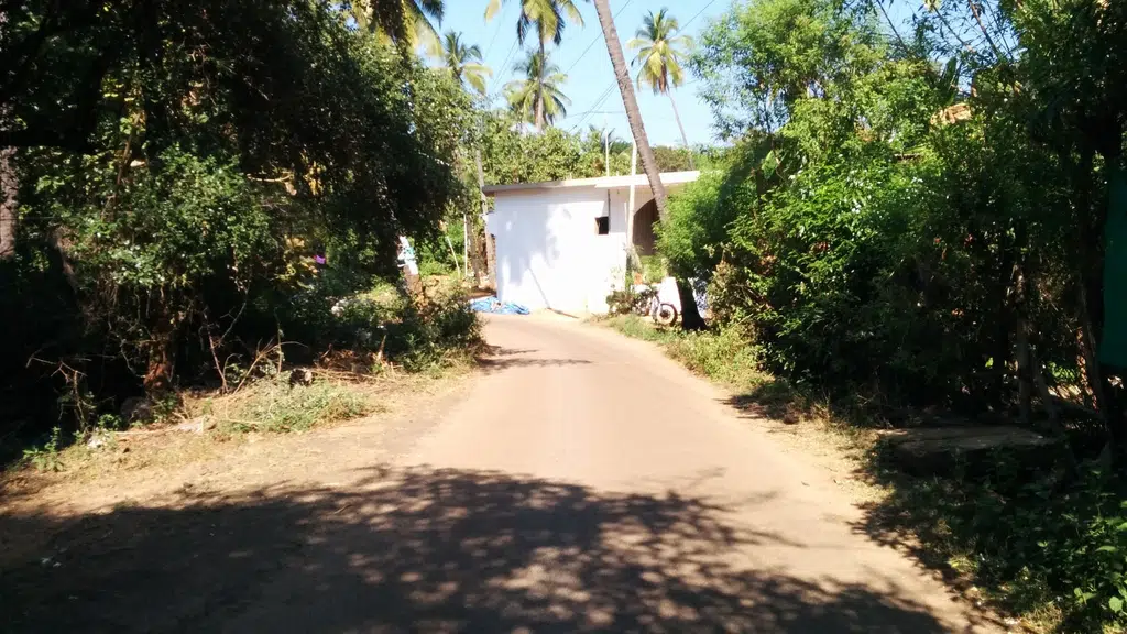 Lalaland Goa