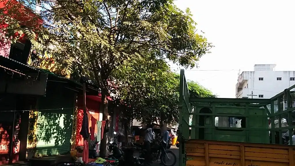 Andhra Bank Puducherry Branch