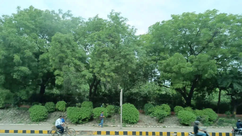 New Moti Bagh Club, Chanakyapuri