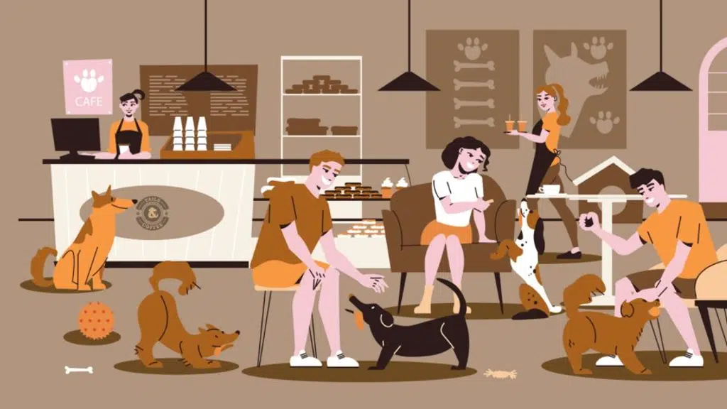 Tails & Coffee | Pet Experience Center | Pet Boarding | Pet Grooming