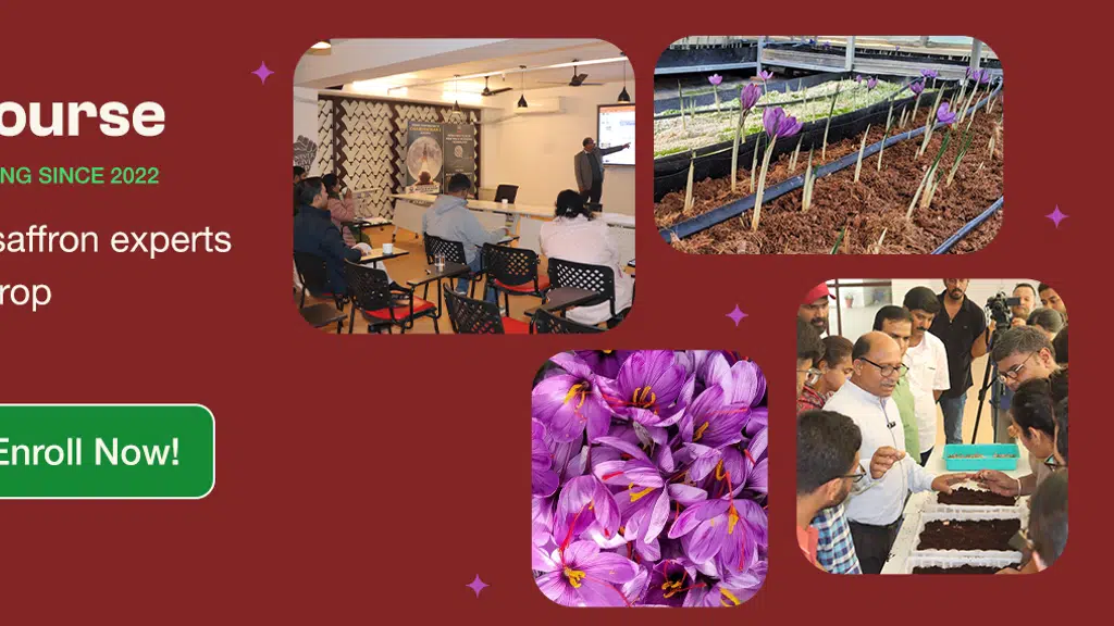 Institute of Horticulture Technology - IHT