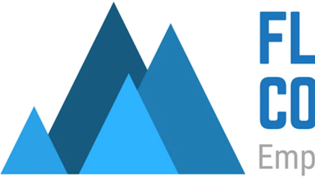 Fledge Consulting Pvt Ltd