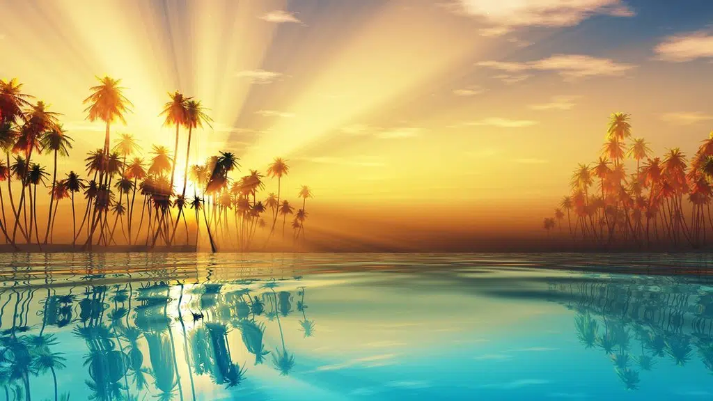 Oxygen Resorts