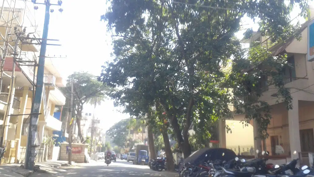 Portea
