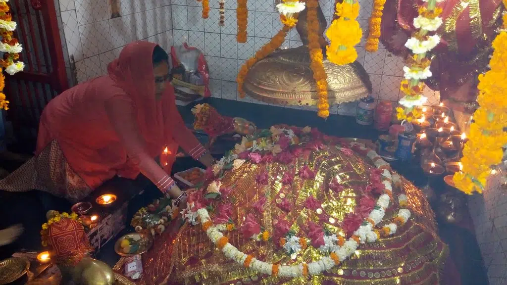 Maa Van Devi mahadham Amhara माँ वनदेवी महाधाम अमहरा